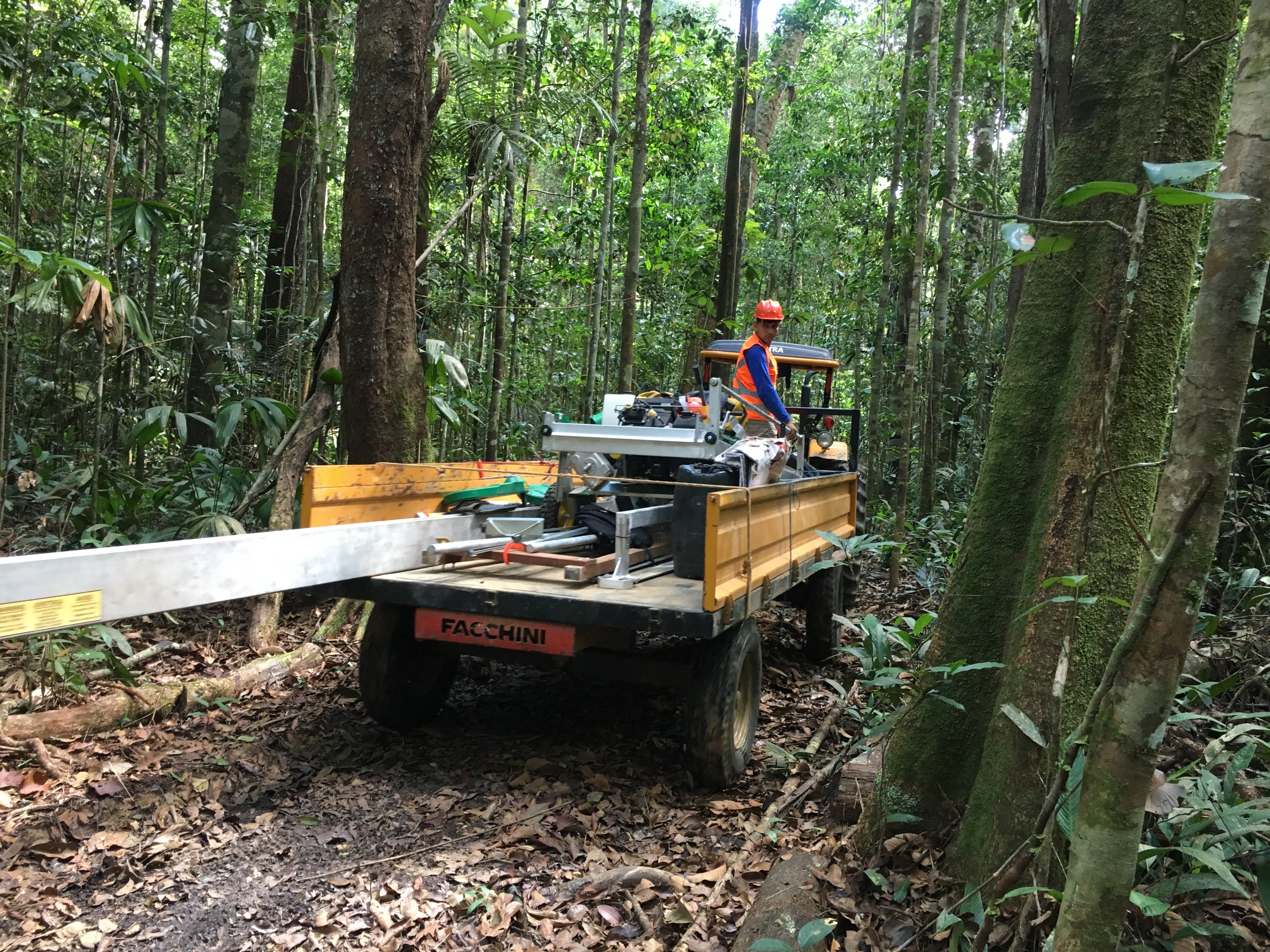 Transporte da serraria LucasMill por dentro da floresta com trator