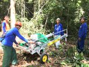 Transporte da serraria LucasMill por trilhas dentro da floresta, Flona do Purus, Amazonas