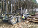 Visita técnica de campo para presenciar atividades de colheita florestal