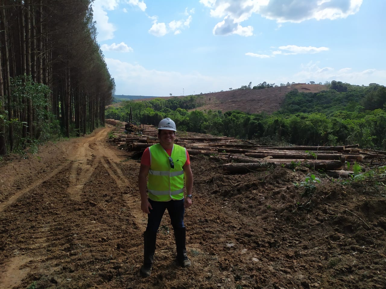 Visita técnica de campo para presenciar atividades de colheita florestal