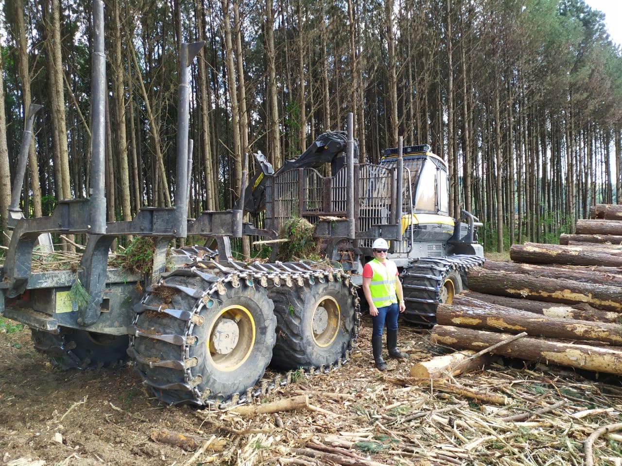 Visita técnica de campo em floresta plantada