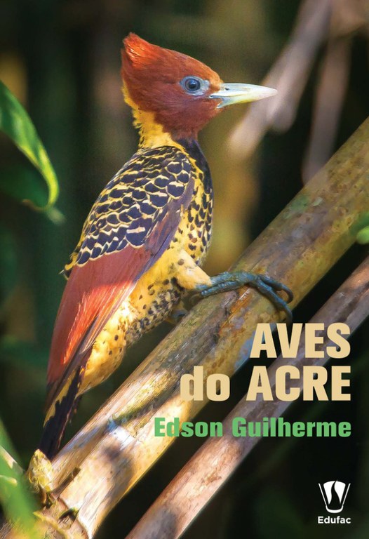 Aves do Acre.jpg