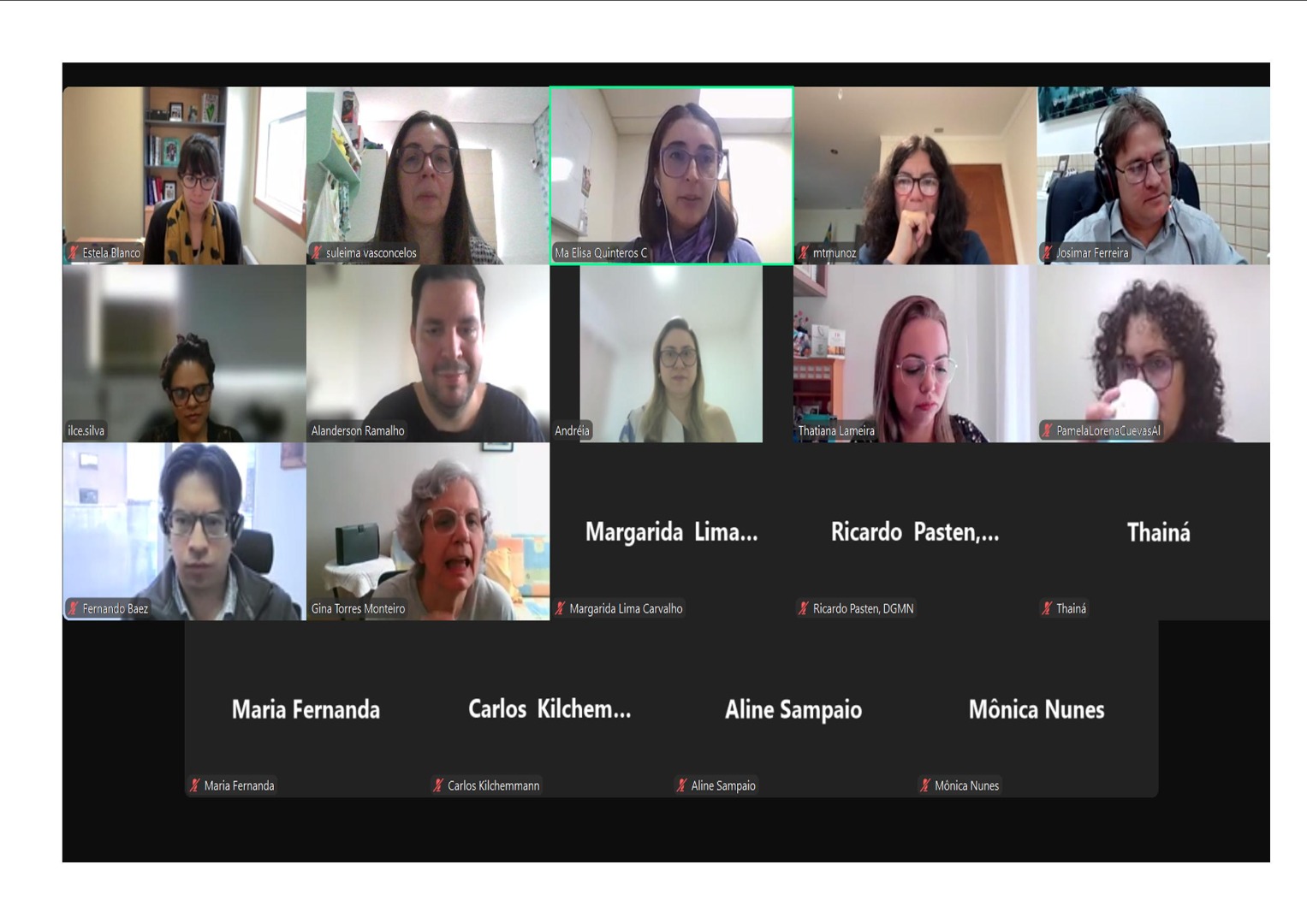 Participação Workshop.jpg