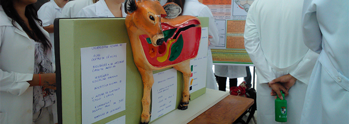 Acadêmicos de Veterinária e Biologia realizam mostra de pôsteres