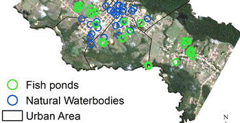 Artigo no ‘Malaria Journal’ investiga anofelinos em corpos d’água em Mâncio Lima