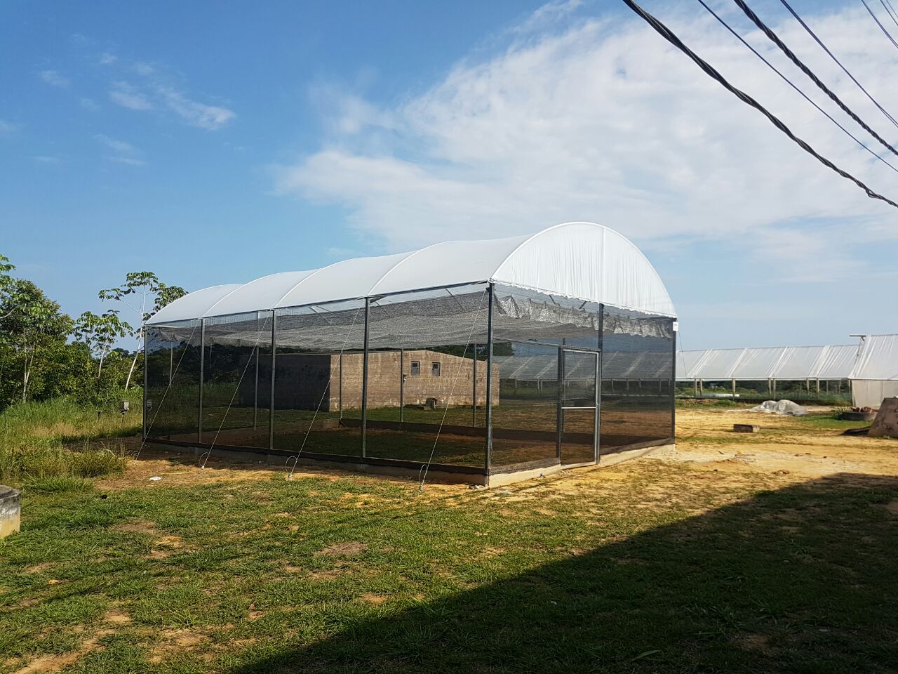 Campus Floresta implanta casa de vegetação
