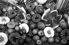 Campus Floresta sedia evento sobre homeopatia na agropecuária