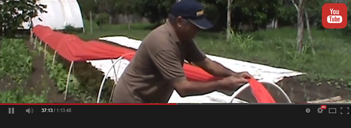 Documentário aborda técnicas agrícolas para produção familiar