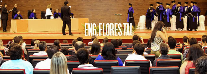 Engenharia Florestal forma mais 11 profissionais