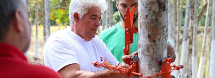 Ferramenta para colheita de açaí é trazida à Ufac