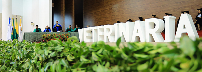 Medicina Veterinária forma 2ª turma
