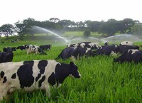 Ministério da Educação aprova Programa de Extensão Universitária para UFAC