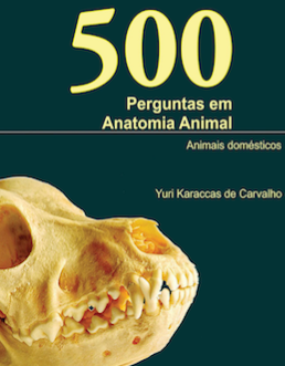 Professor da Ufac lança livro sobre anatomia animal