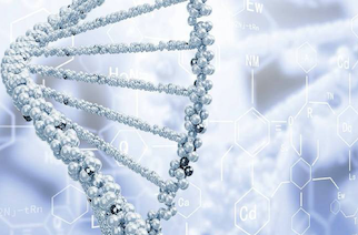 Professor da Ufac publica livro sobre potencial antigenotóxico de planta amazônica