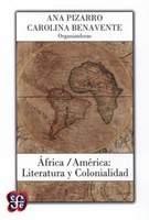 Professor do Mestrado em Letras publica artigo em livro organizado por Ana Pizarro