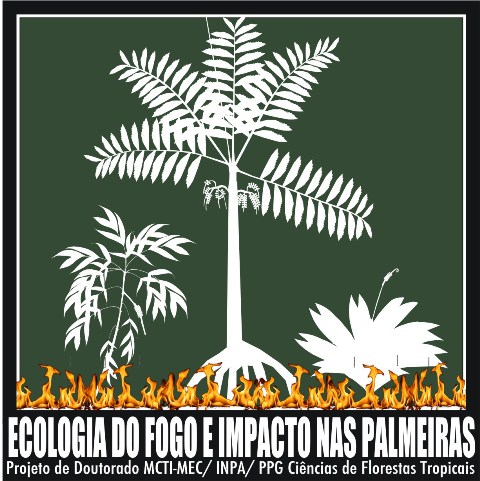 Projeto de Doutorado da Ufac investiga o impacto do fogo de superfície na comunidade de palmeiras de uma floresta tropical