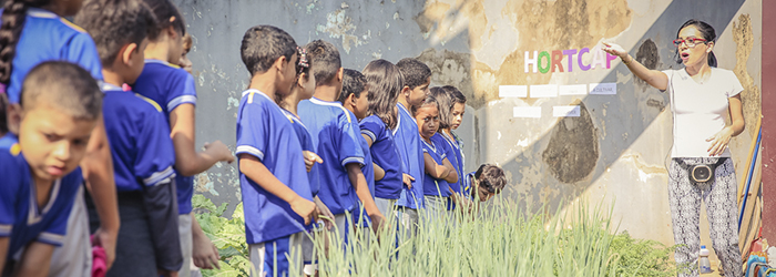 Projeto de horta escolar do CAp incentiva estudo das ciências naturais na alfabetização 