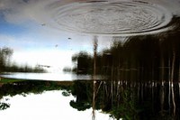 Semana de Comunicação lança 2º prêmio Alcântara de Fotografia