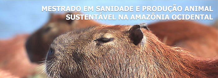 Ufac abre 18 vagas para mestrado em Sanidade e Produção Animal