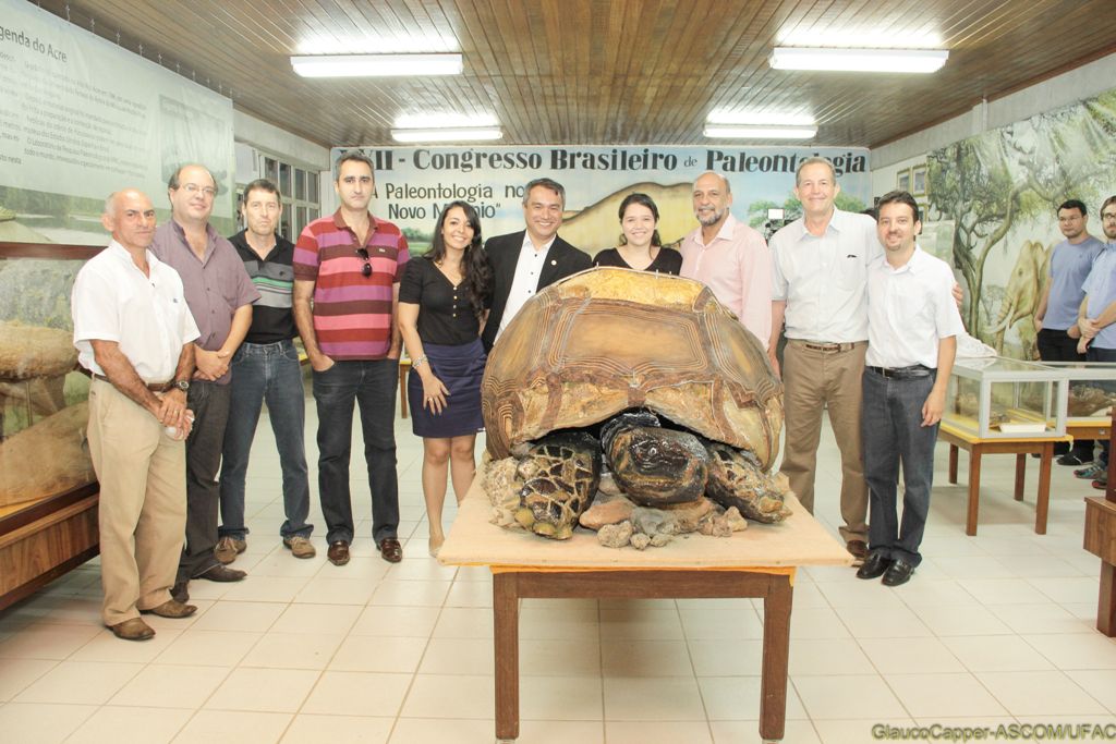 Ufac apresenta maior fóssil de jabuti do mundo